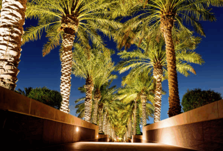 Screenshot 2025-05-13 at 5.41