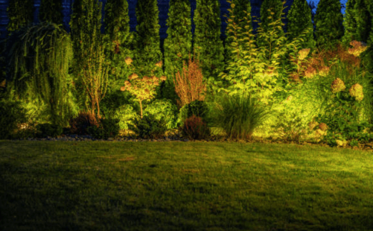 Screenshot 2025-05-13 at 5.42